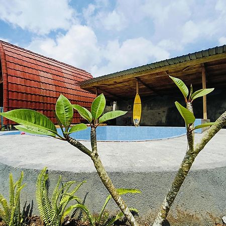 Raturinjani Homestay Selong Exterior foto