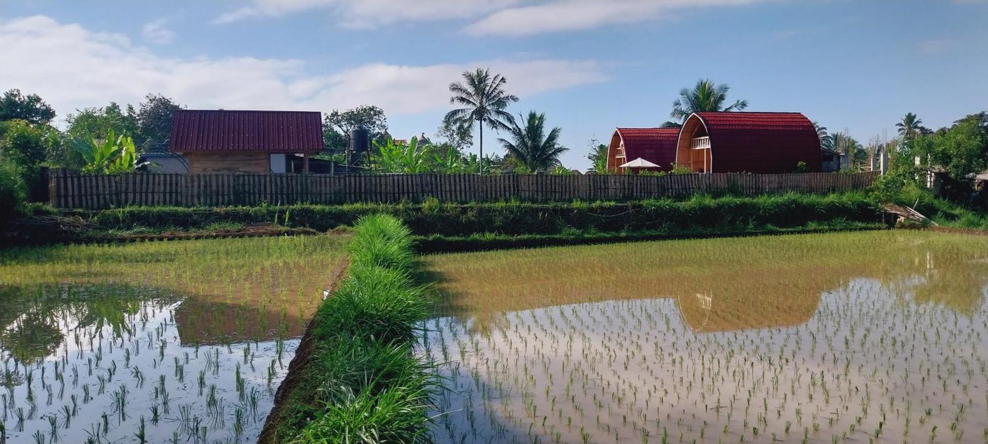 Raturinjani Homestay Selong Zimmer foto