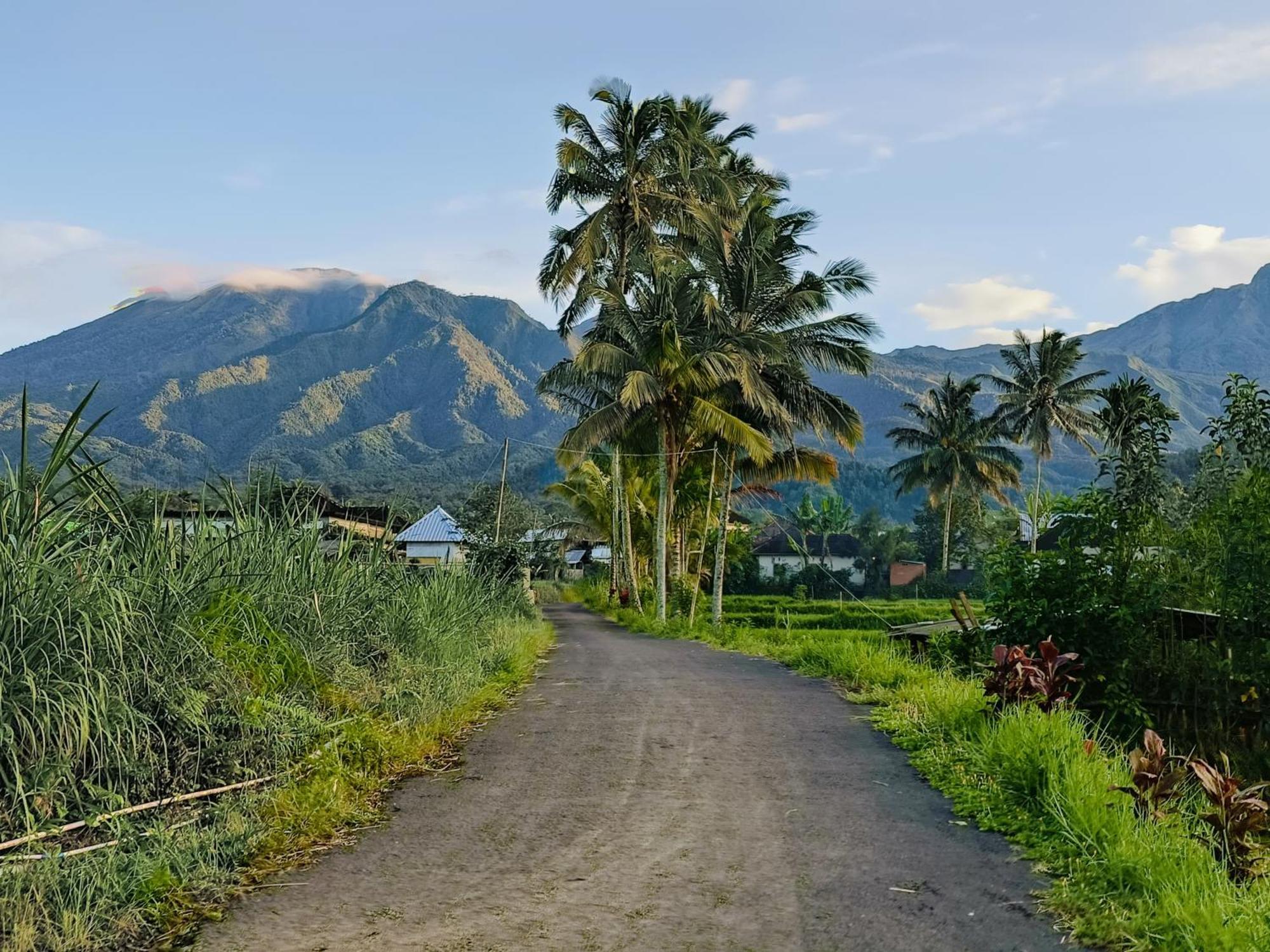 Raturinjani Homestay Selong Exterior foto